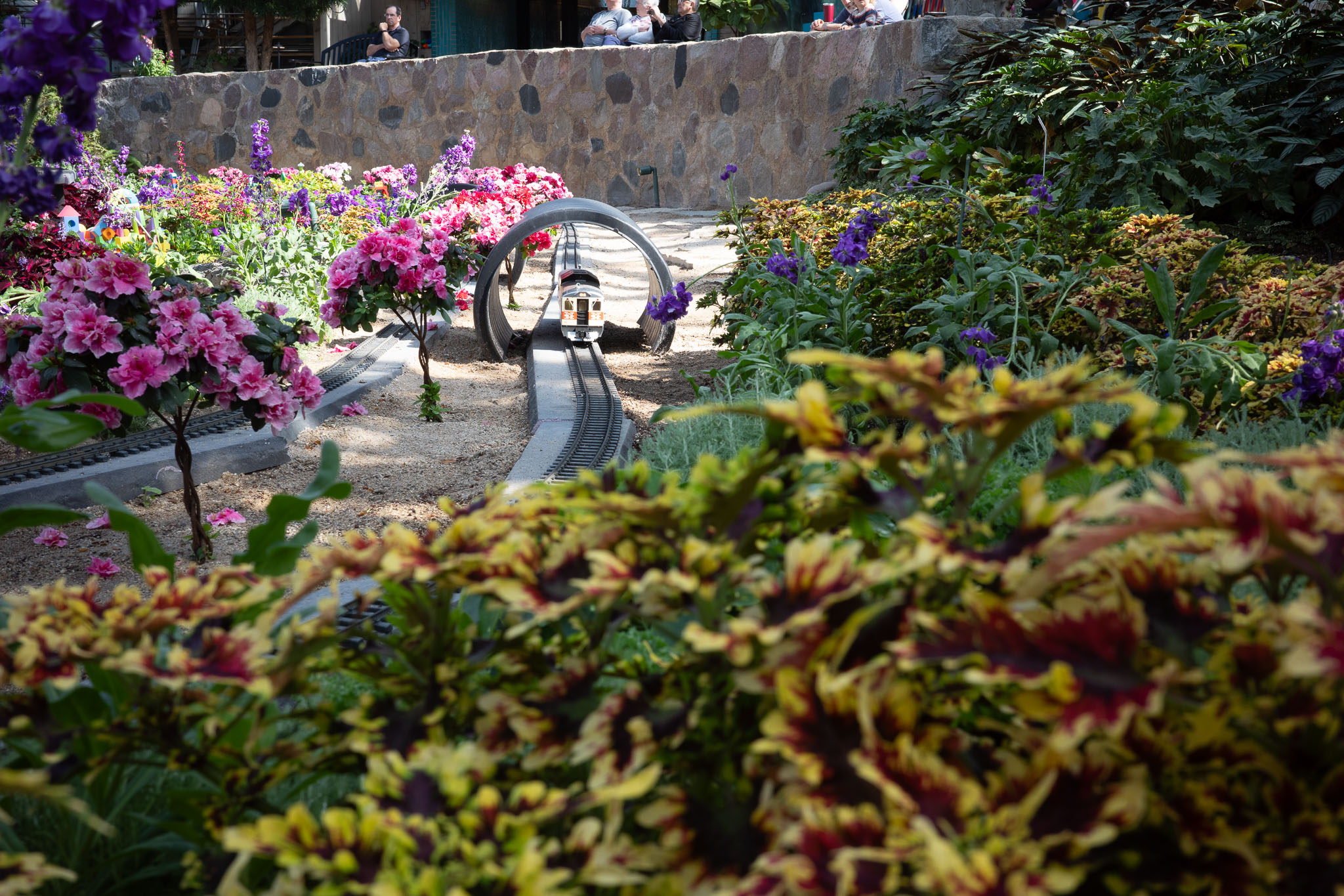 mitchellparkdomes2024 03