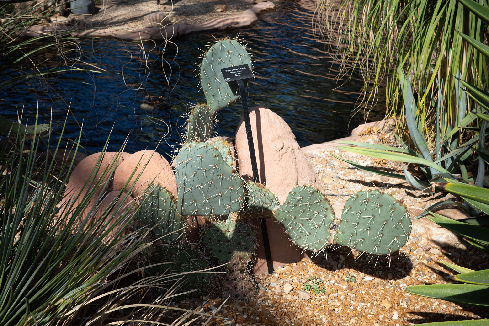 mitchellparkdomes2024 09